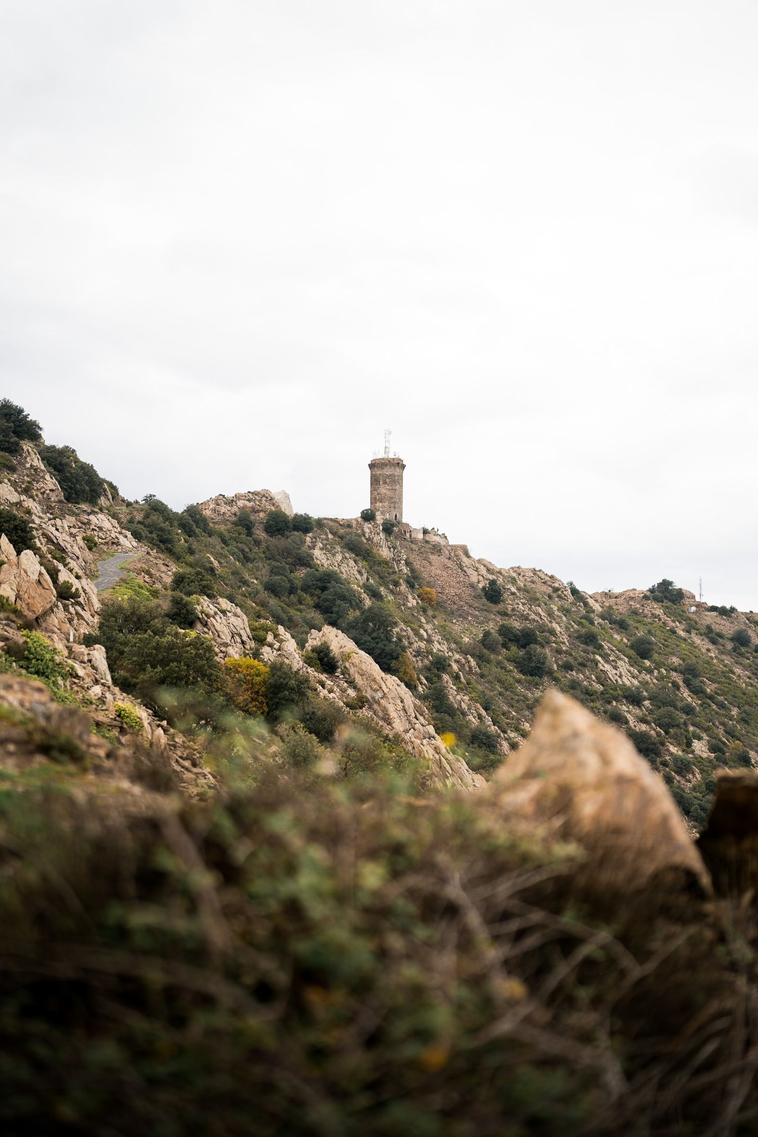 tour de la madeloc au dessus de collioure