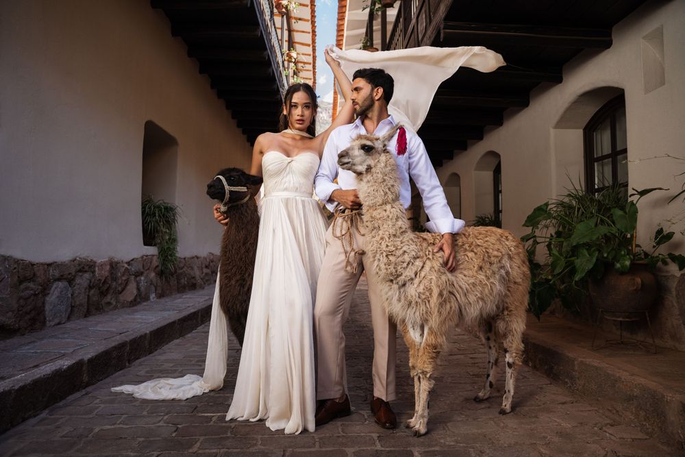 Wedding couple in white attire poses with llama in rustic courtyard.