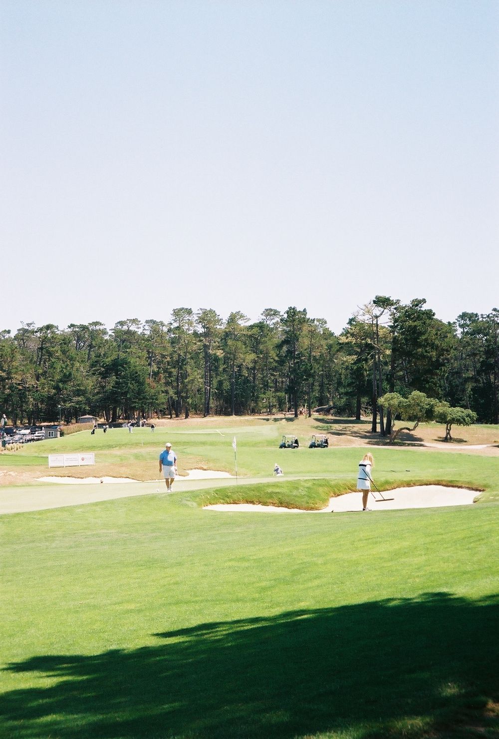 A scenic golf course with sand bunkers and tall pine trees under bright sunlight.