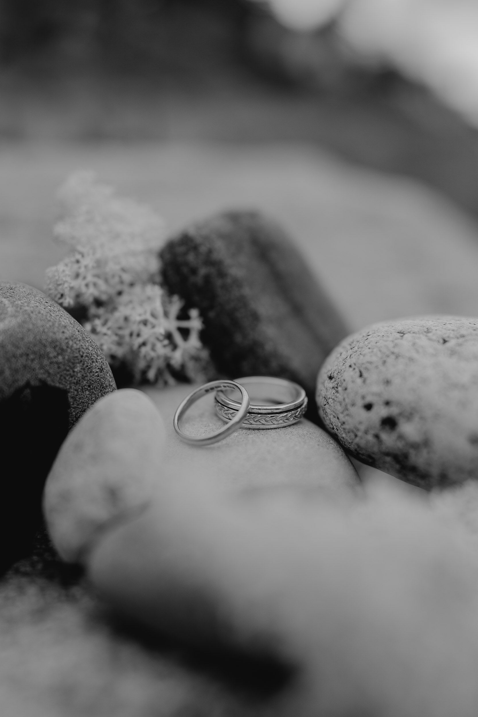 Wedding rings rest on stones with moss in a black and white photograph.