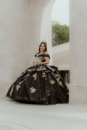 A dramatic black ballgown with silver floral appliques photographed in a series against white architectural columns.
