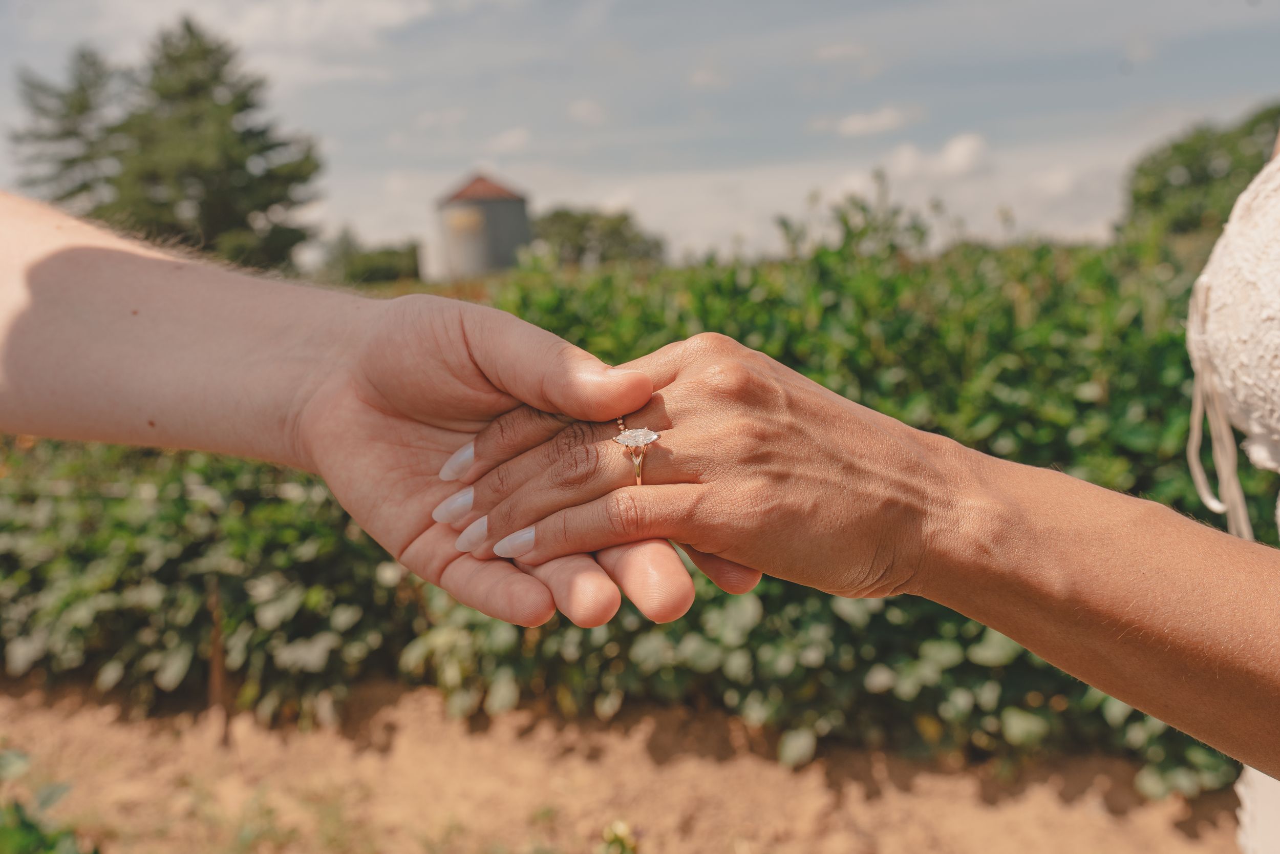 Two hands holding gently outdoors, one wearing a ring, with lush green vineyard and windmill in background.