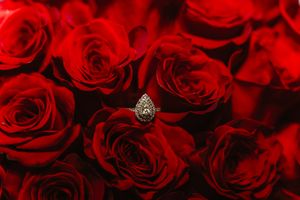 A sparkling teardrop-shaped diamond ring nestled among vibrant red roses in full bloom.
