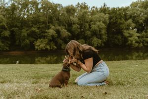 A person in blue jeans sits in a grassy field with a brown dog beside them on a sunny day.