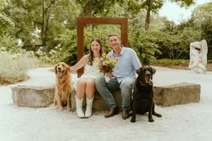 A series of outdoor photos showing people sitting with golden retrievers and black dogs in a park-like setting.