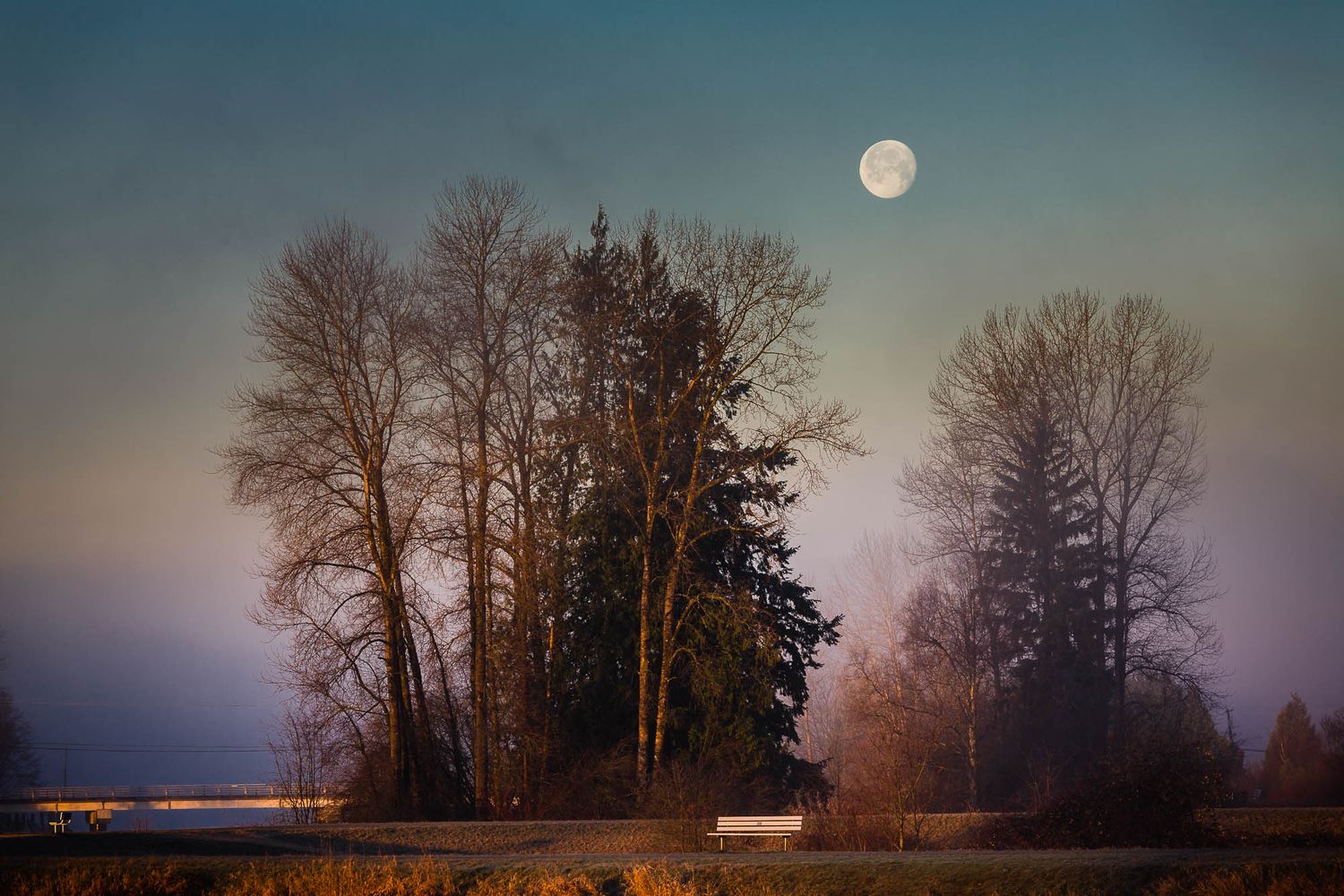 Alouette River, Pitt Meadows, British Columbia