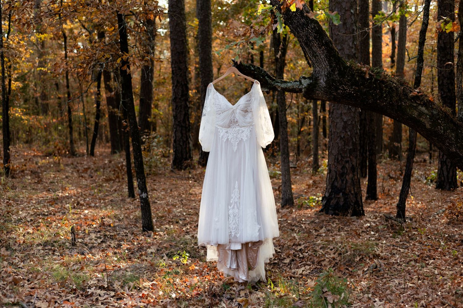 petit jean wedding dress details