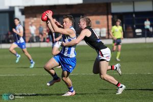 Australian Rules Football player leaps high to catch the ball during a competitive match on a sunny day.