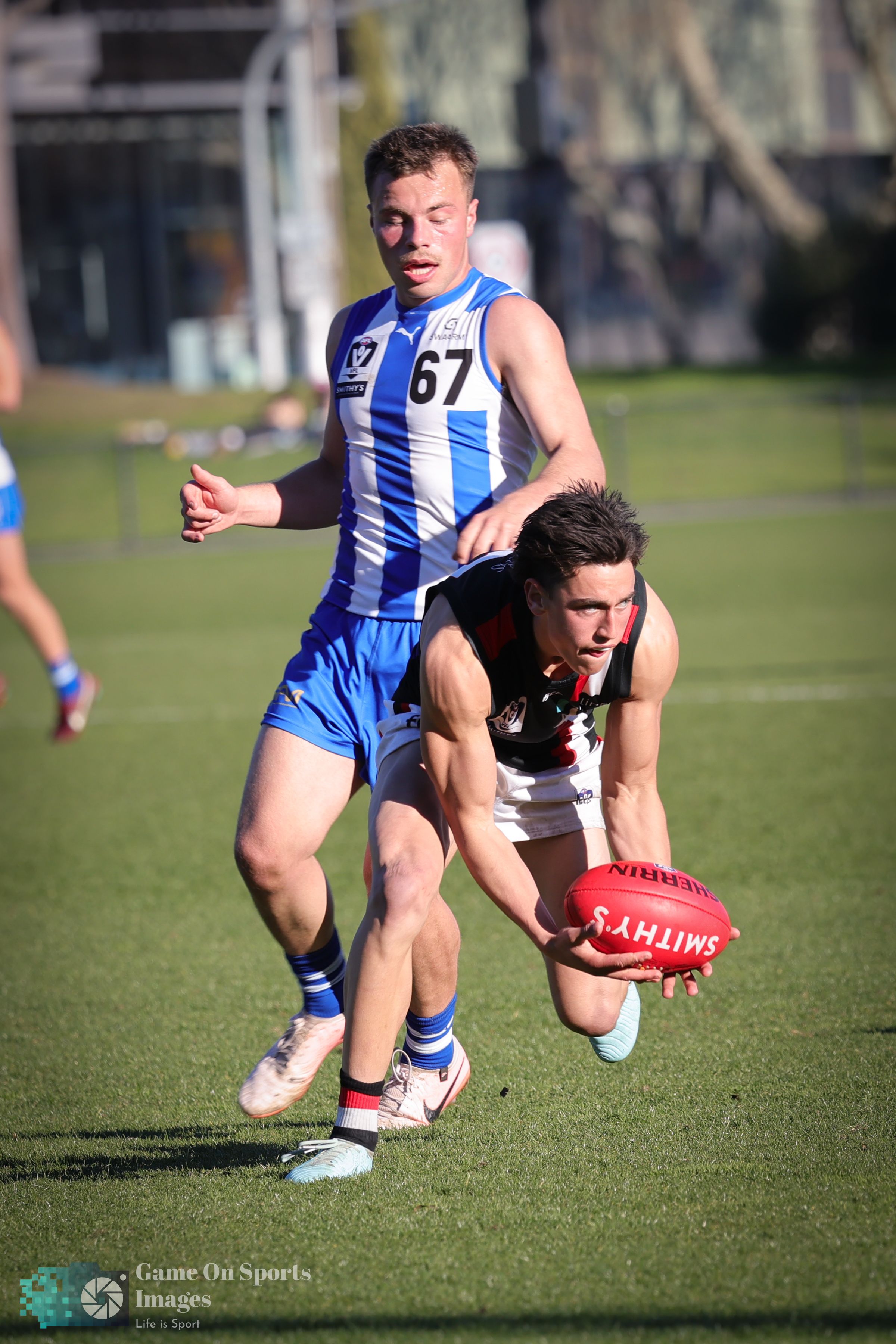 Australian Rules Football players compete for possession during an intense match on a sunny grass field.