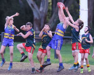 Melbourne sports photographer