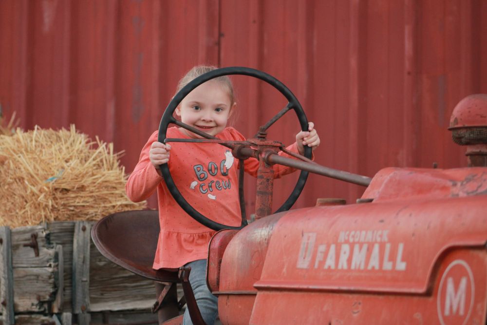 Joyful moment at the steering wheel of a vintage red Farmall tractor.