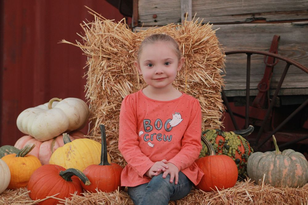 Autumn scene with hay bales, pumpkins and gourds on farm setting.