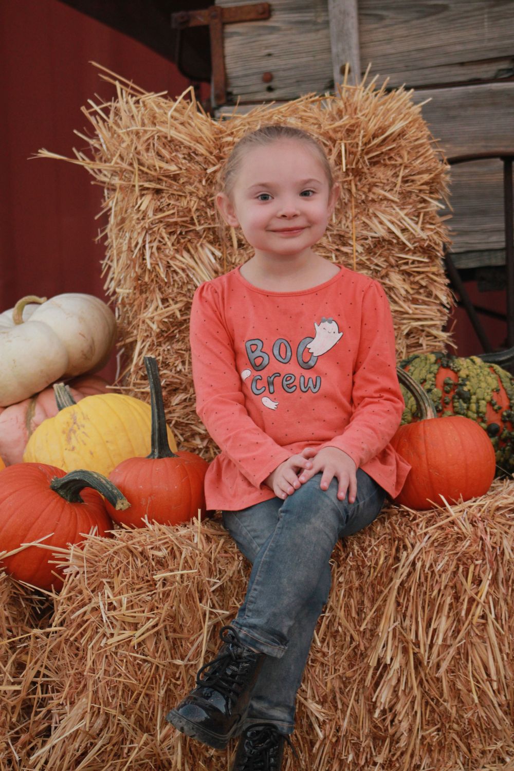 Festive fall portrait on hay bale with colorful pumpkins and rustic barn backdrop.