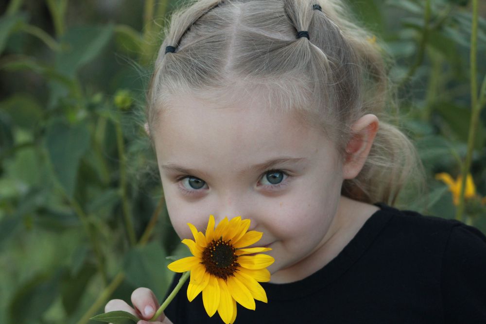 Close-up portrait with a vibrant yellow sunflower against lush green garden background.