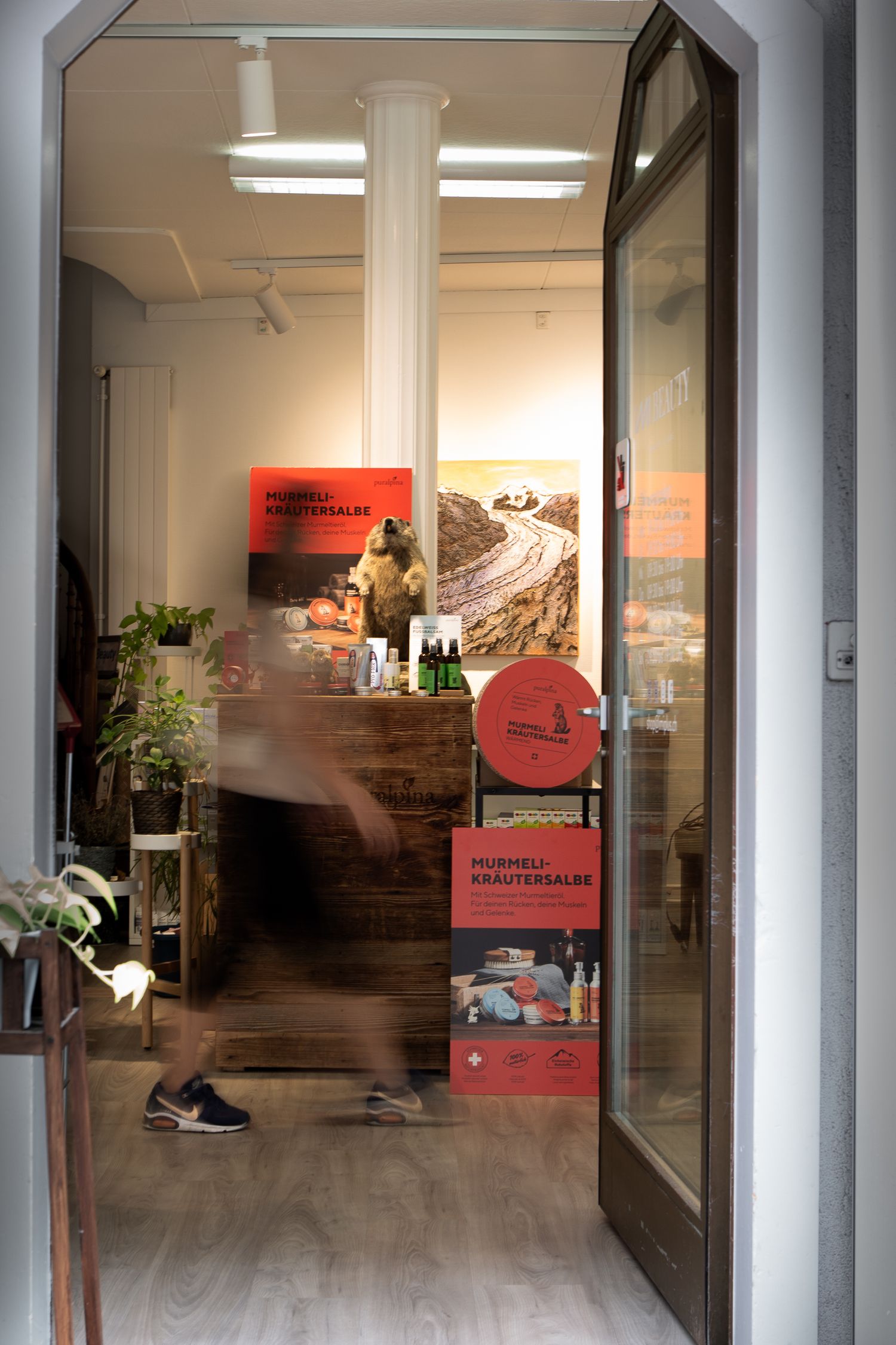 Business Shop Profile Photography
