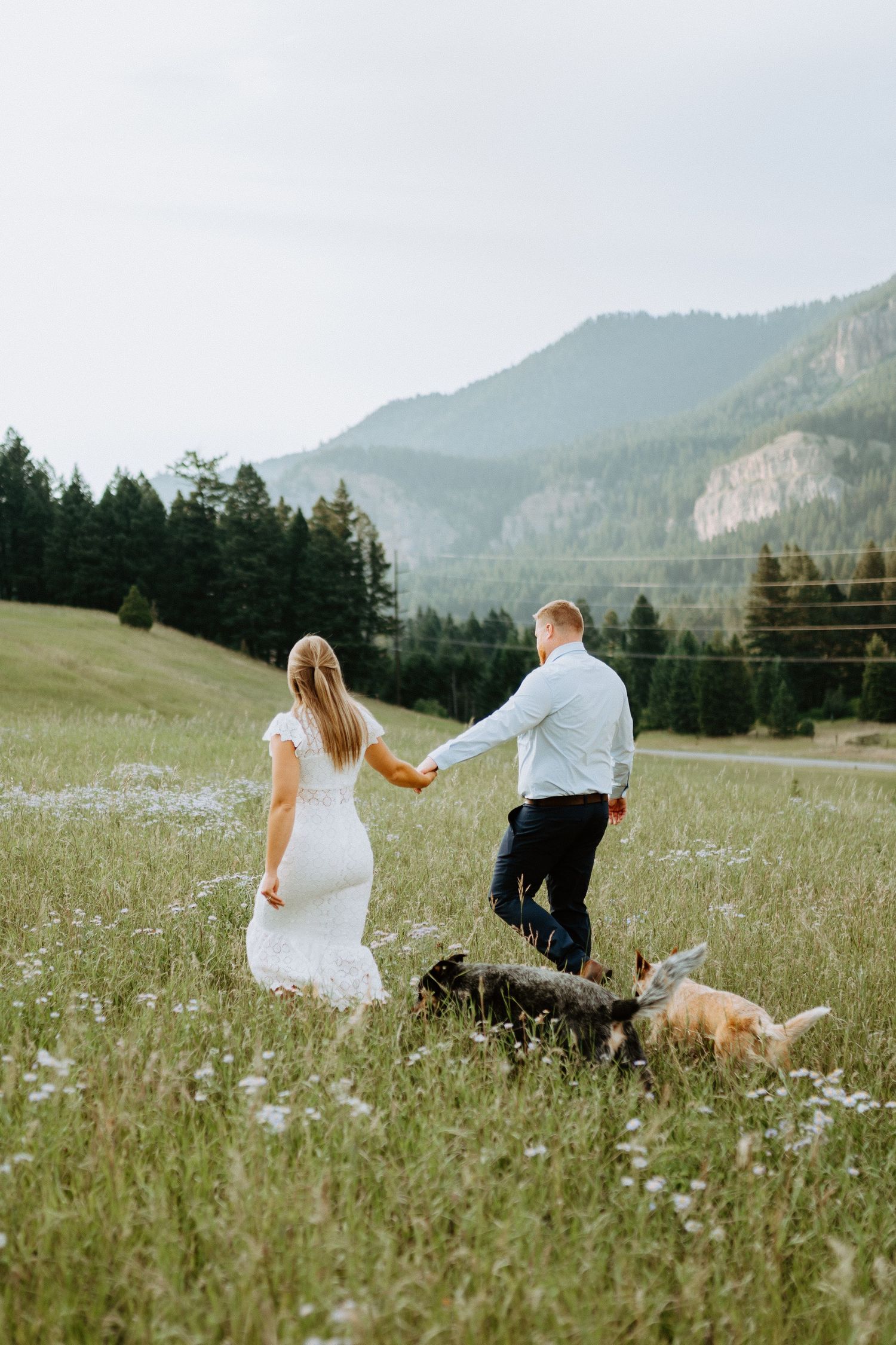 Couple walks through mountain meadow with dogs on sunny day.