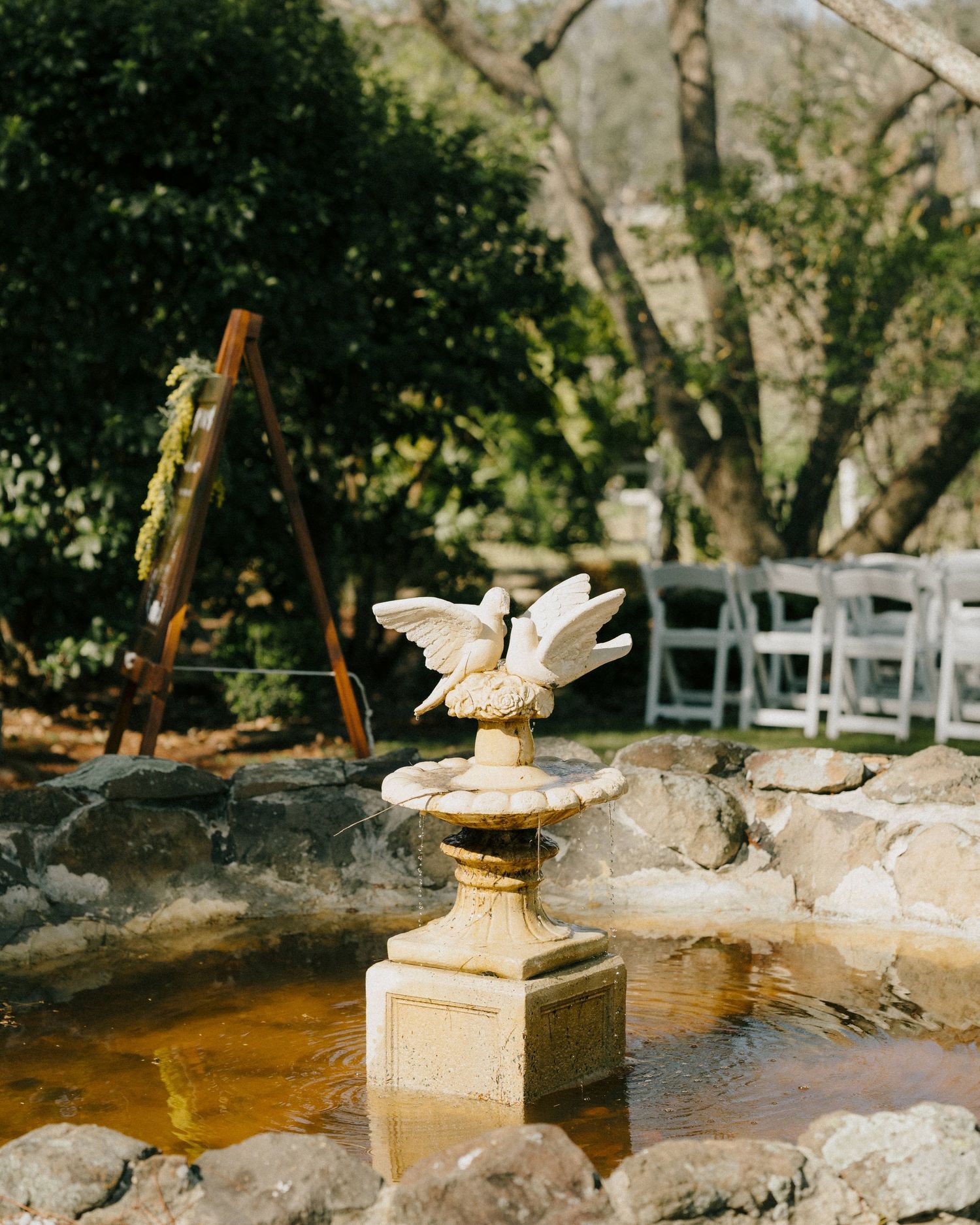 “Picturesque vineyard wedding at Albert River Wines, surrounded by Queensland’s lush landscape, Gold Coast Wedding