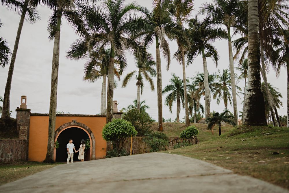Walking along a path lined with palm trees, holding hands at this dreamy Mazatlán location
