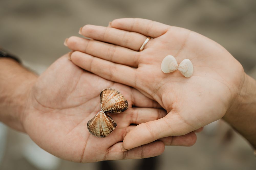 Shells in their hands, symbolic of their journey together, in the stunning Mazatlán setting