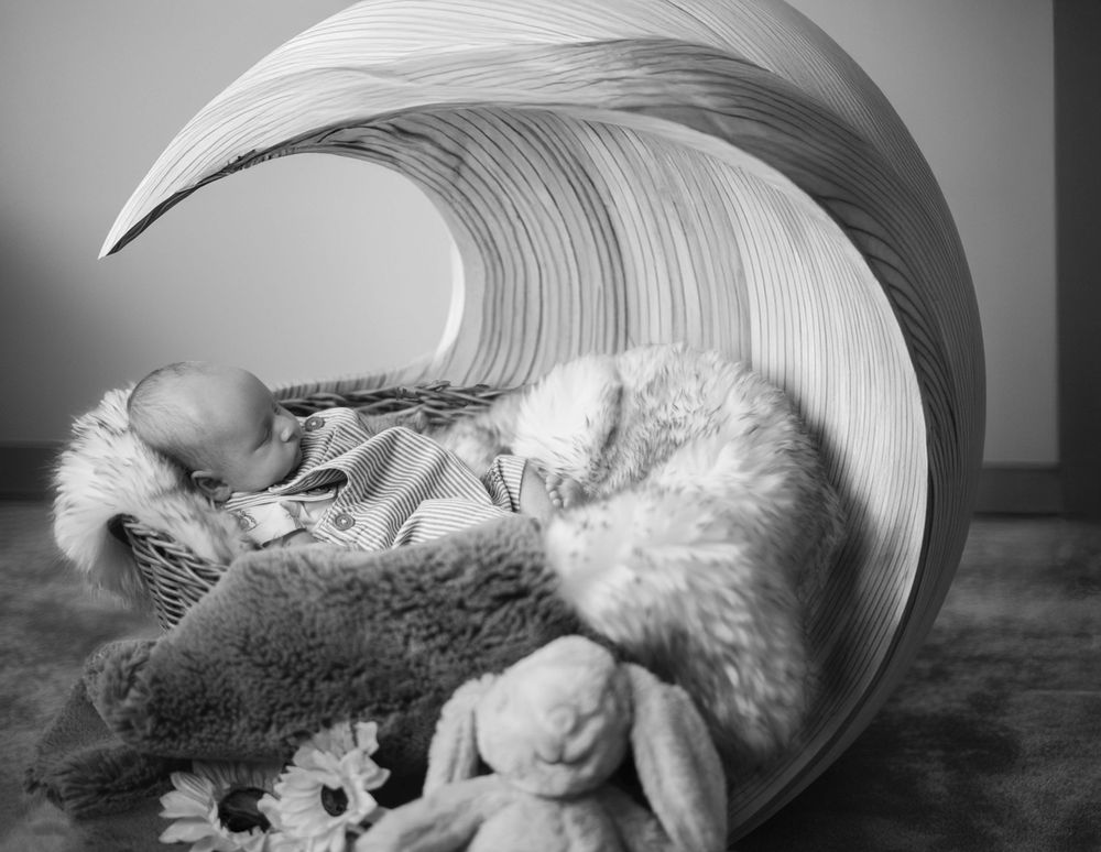 Sleeping white dog curls up in monochromatic black and white photos showing different peaceful resting positions.