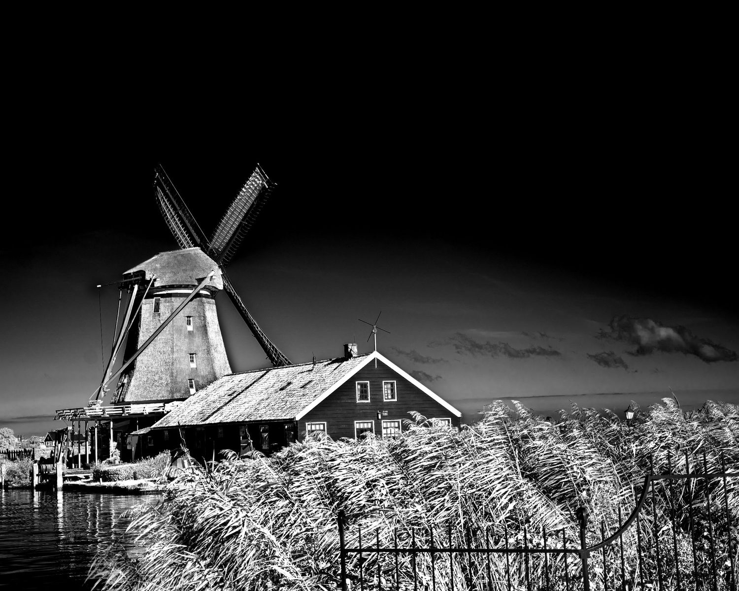 De Kat Zaandam, Netherlands