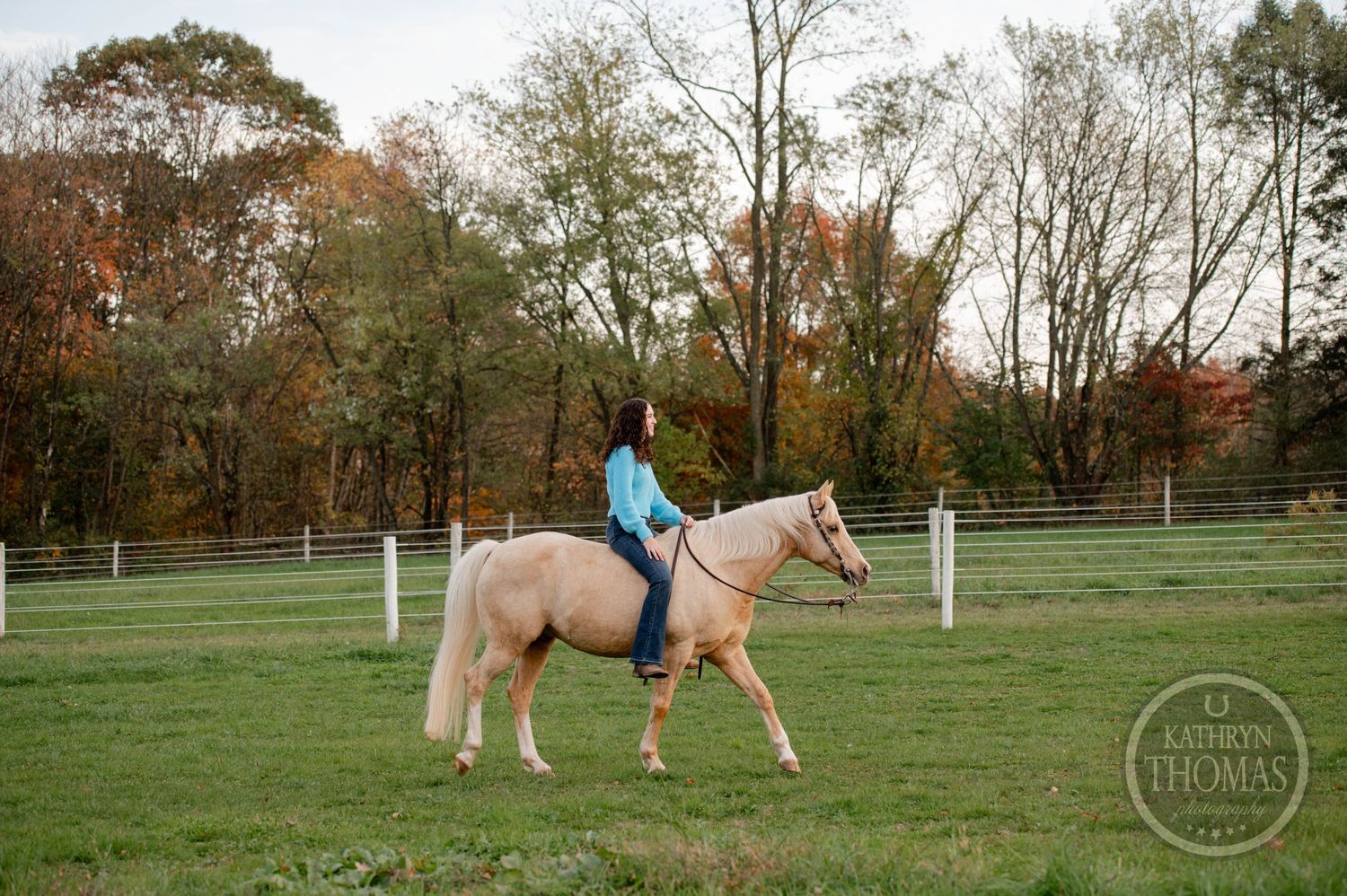 Palomino horse and rider trotting in fenced arena during autumn season.
