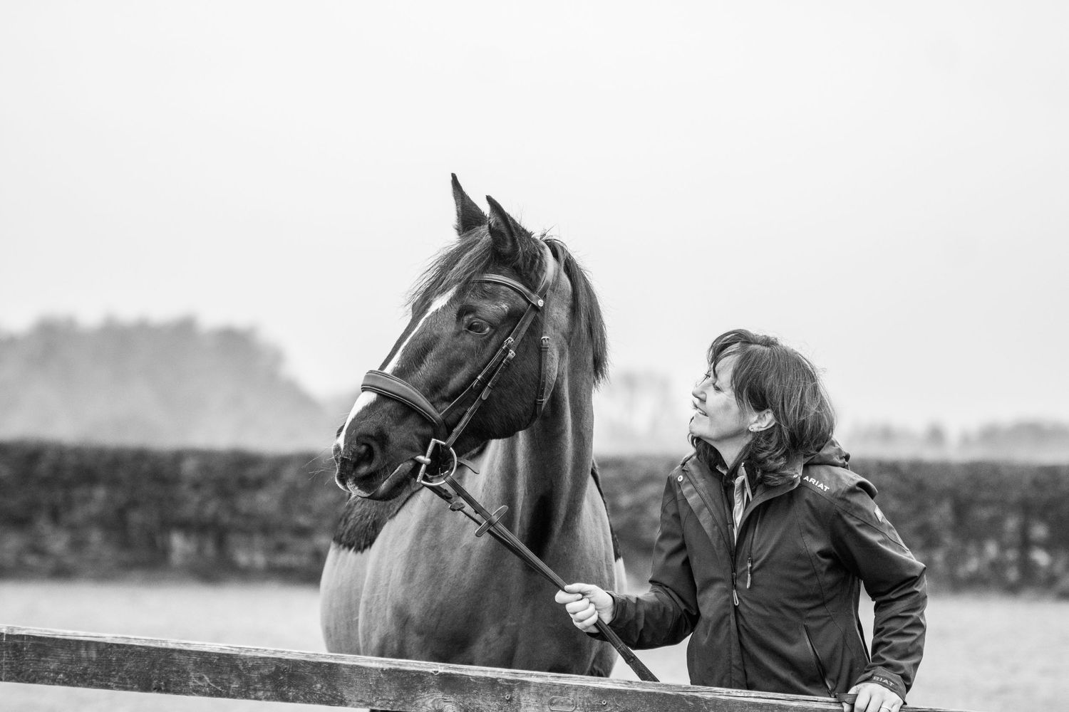 Preparing your horse for a Spring photoshoot.