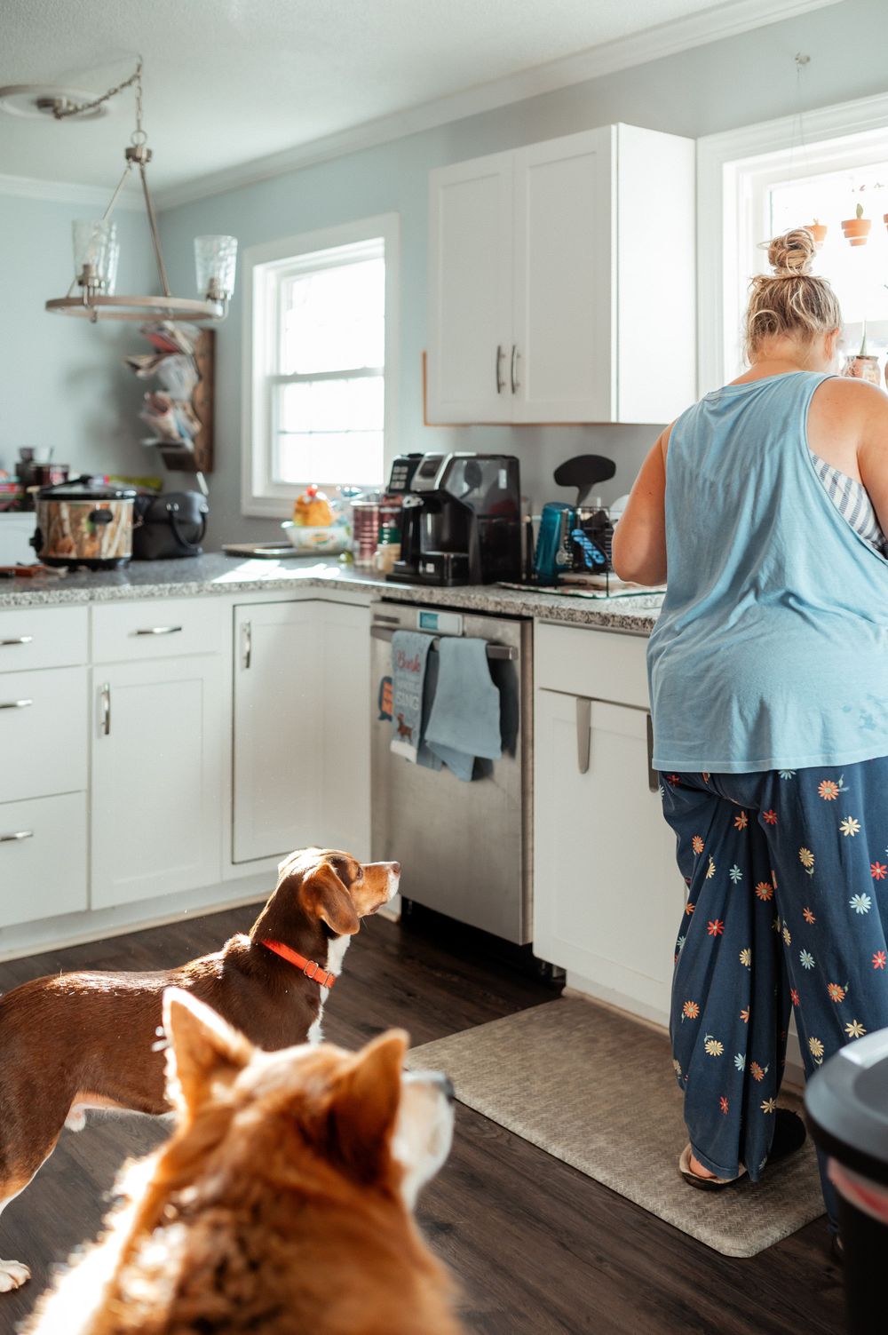 Dogs watch attentively in a white kitchen as someone prepares food at the counter on a sunny morning.
