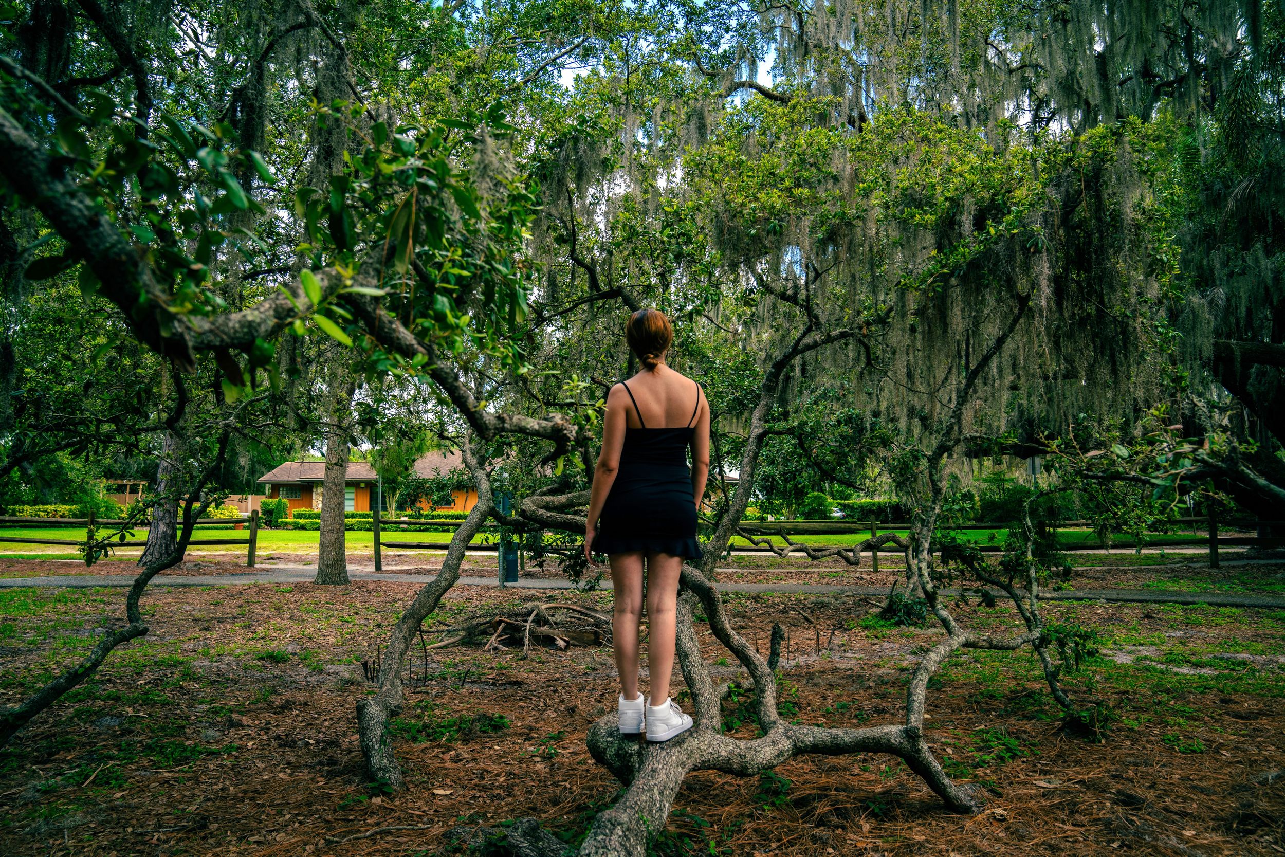 Athletic figure stands on fallen tree branch in mossy park setting.