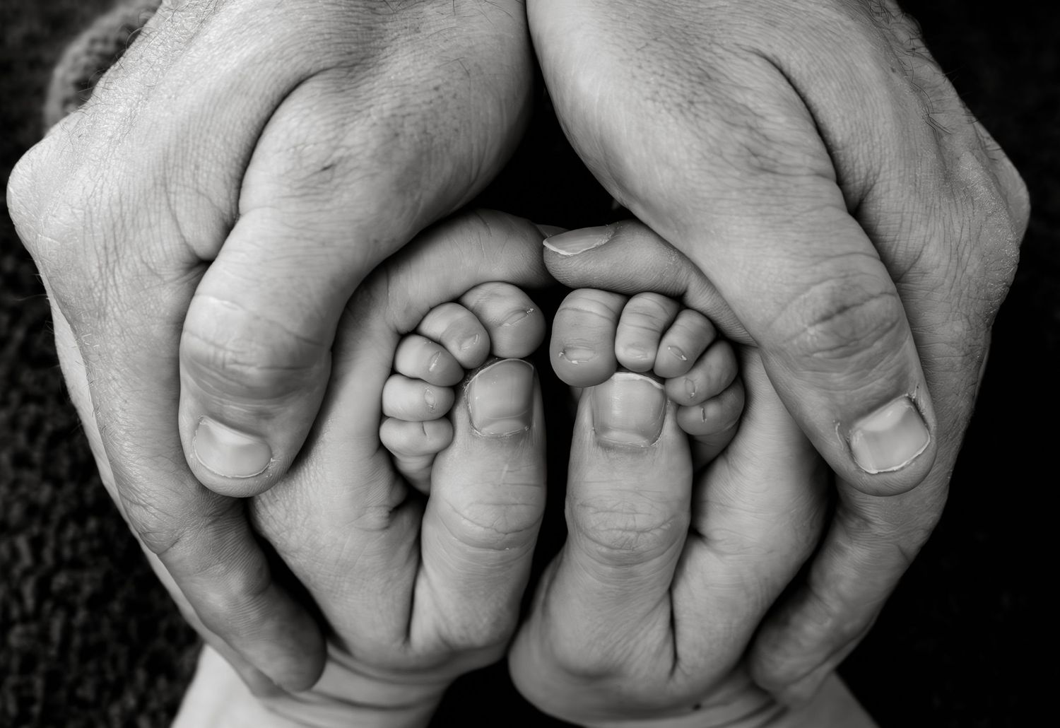 A black and white photograph showing tiny baby feet cradled within adult hands, symbolizing parental care and protection.