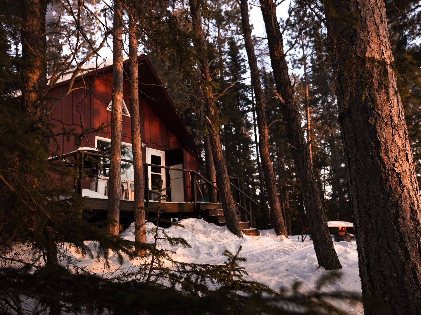 Red cabin nestled among snow-covered pine trees in a winter forest setting.