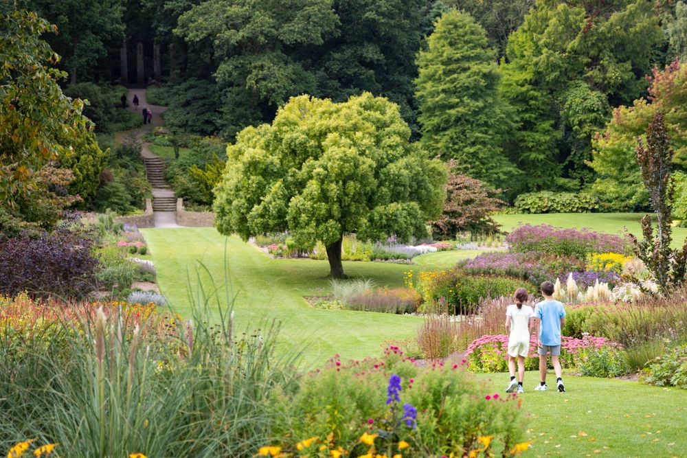 A scenic garden landscape with a solitary green tree, colorful flower beds, and visitors enjoying the manicured grounds.