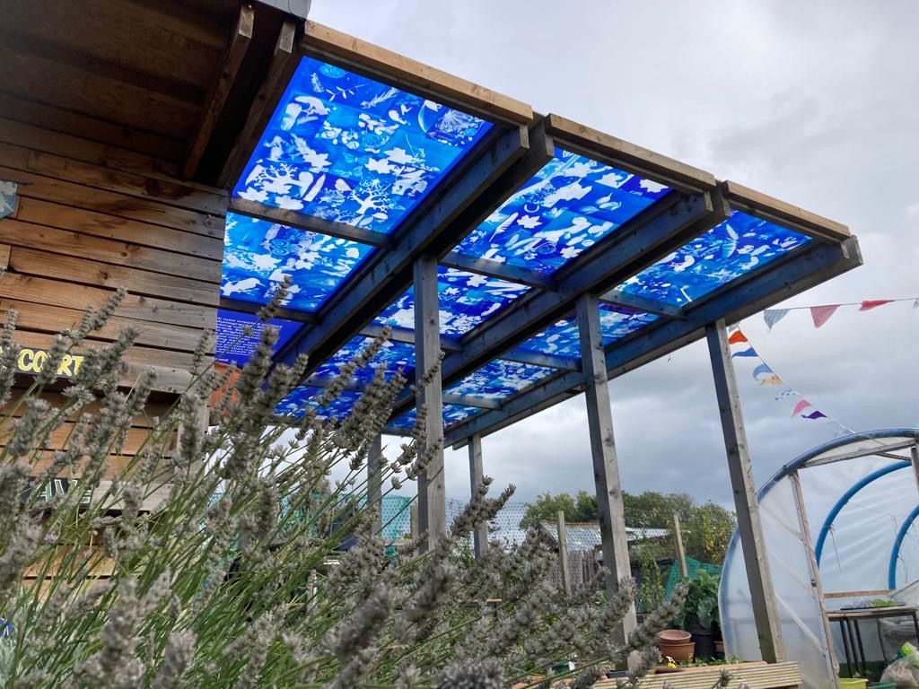 Cyanotype Sun roof above the veranda of a shed, The Big Local, Gateshead