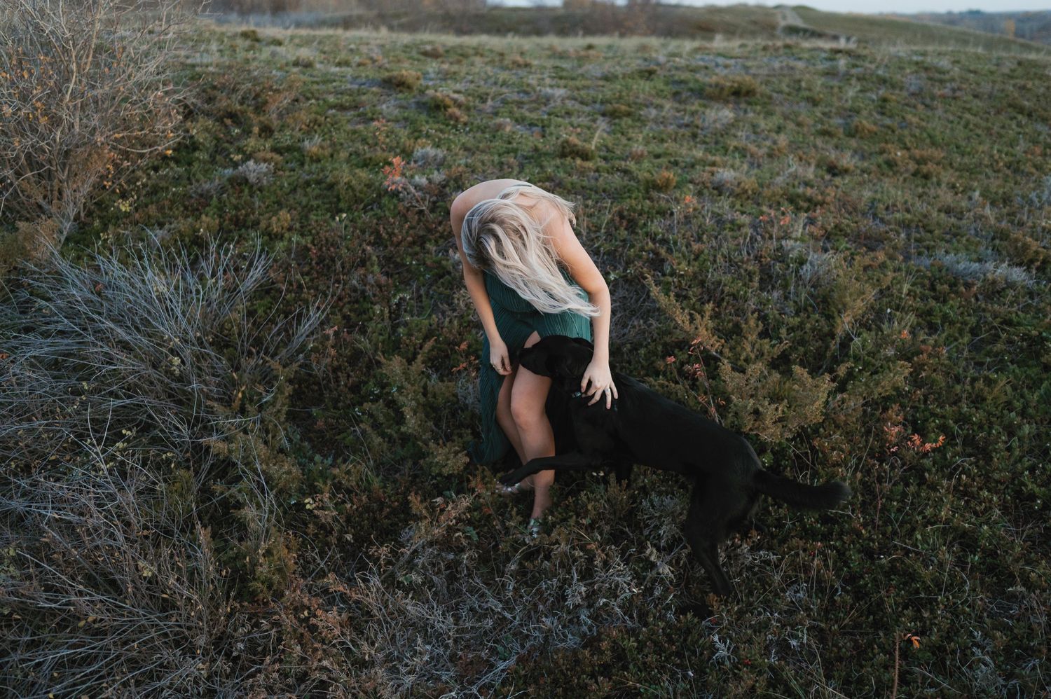An artistic overhead shot of a figure amid wild grasses on a hillside.