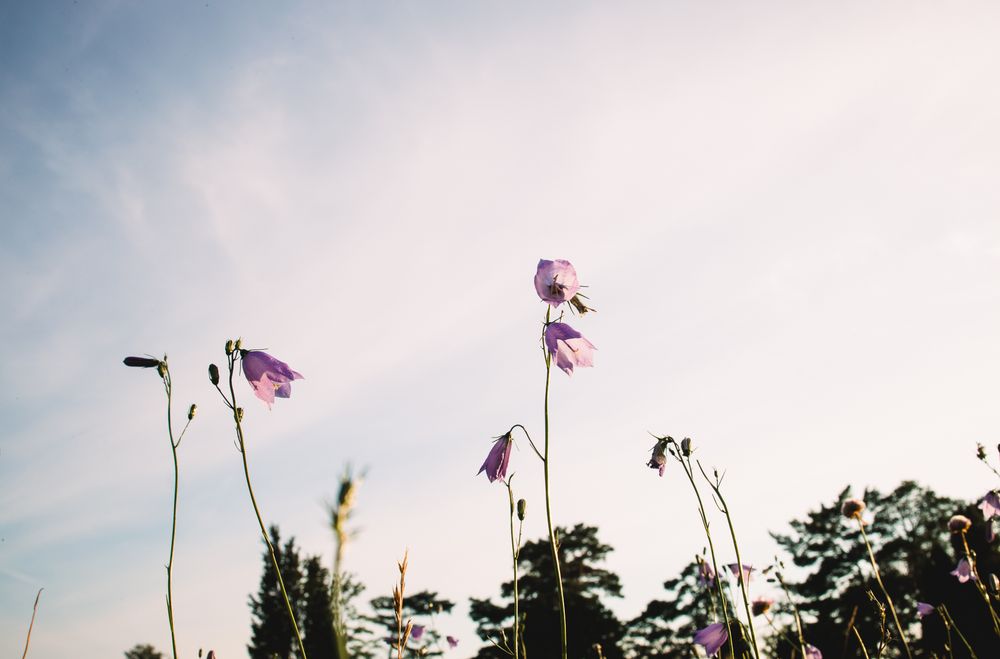 Lifestyle fotograf Växjö