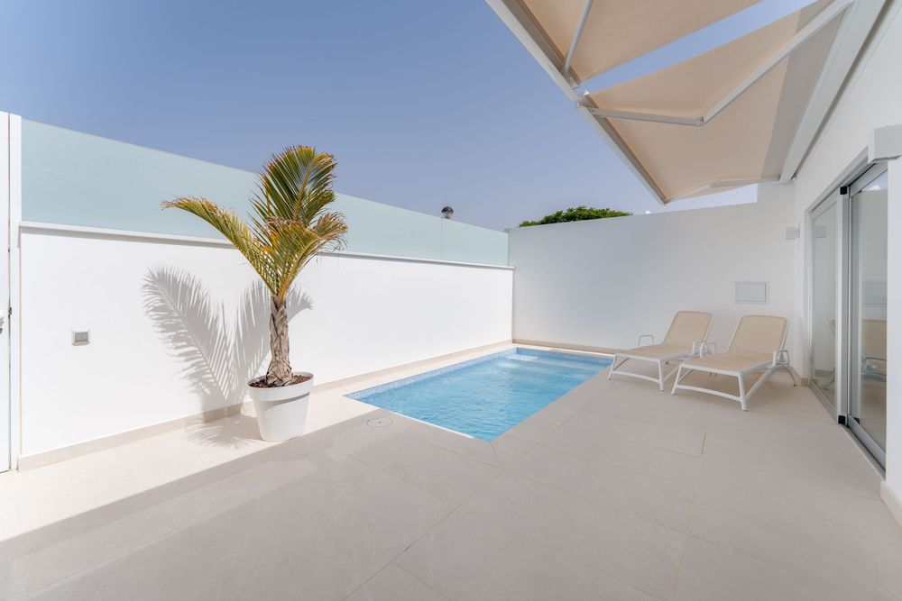 Modern private patio with small plunge pool, white lounge chairs, potted palm tree, and clean white walls under clear blue sky.