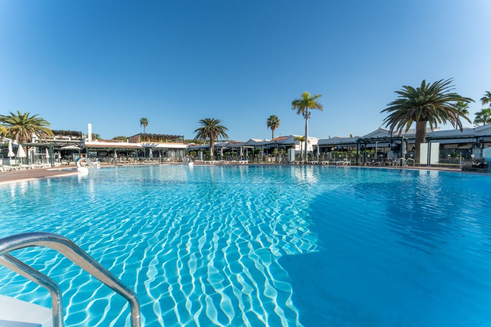 Large resort swimming pool surrounded by palm trees and lounge chairs in tropical setting.