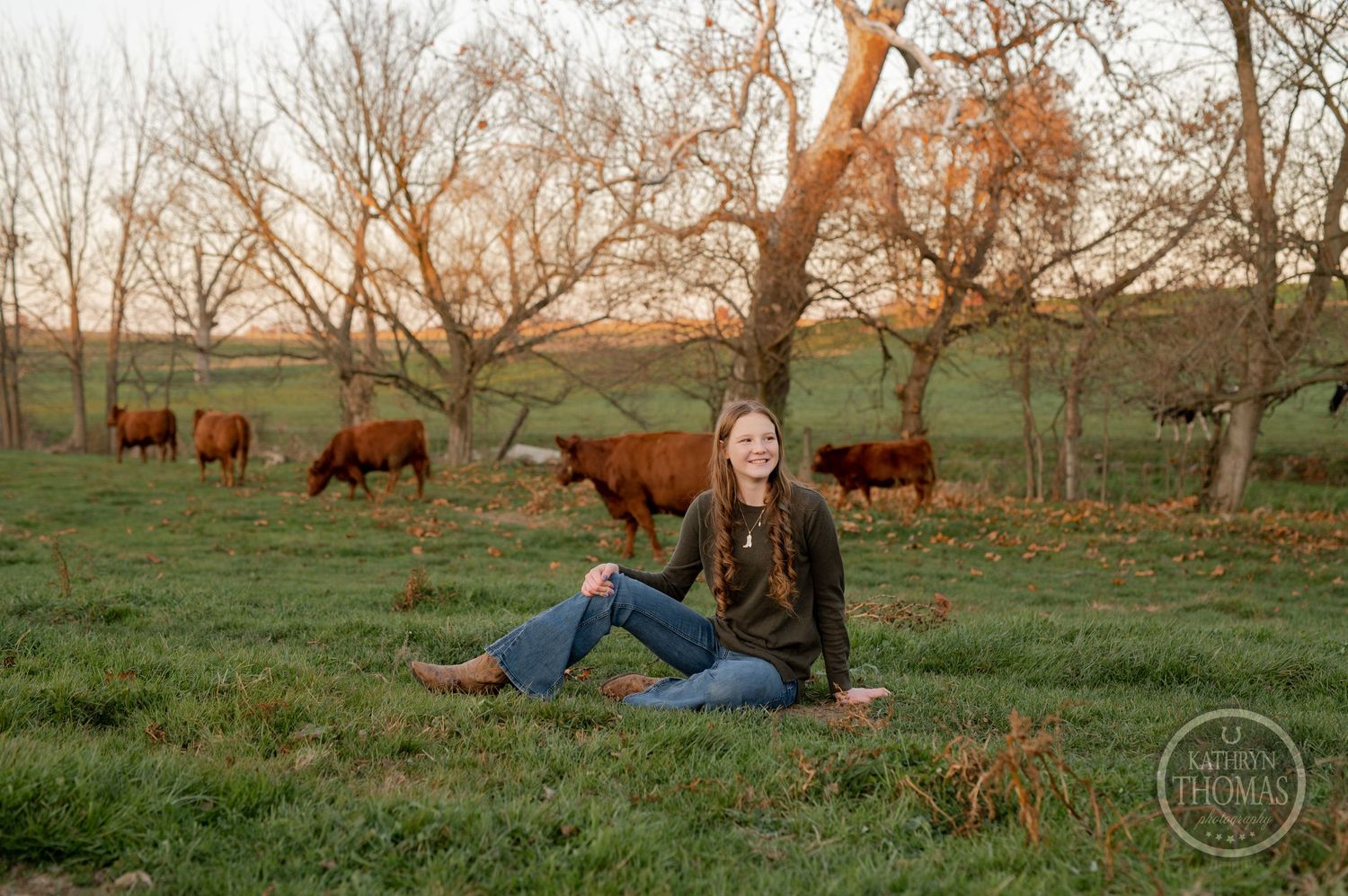 A countryside portrait session featuring rustic farm scenery with Highland cattle grazing nearby.