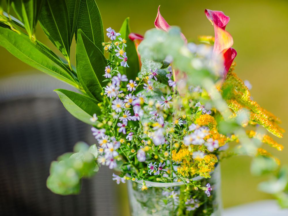 A delicate floral arrangement with small purple blooms and green leaves in a glass vase against a blurred background.