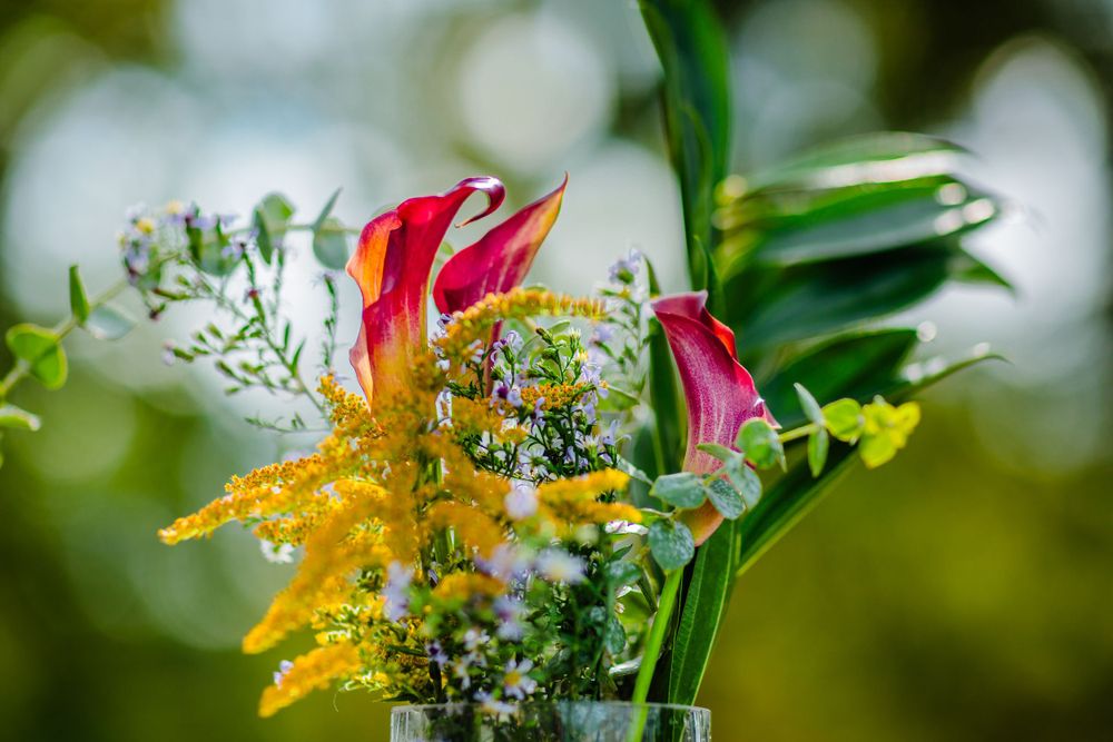 Vibrant red calla lilies and yellow wildflowers arranged with delicate baby's breath and green foliage in soft focus.