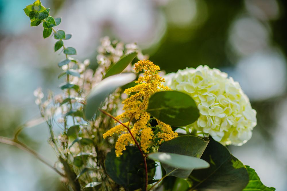 White hydrangea blooms and bright yellow goldenrod flowers create a beautiful floral arrangement with soft bokeh background.