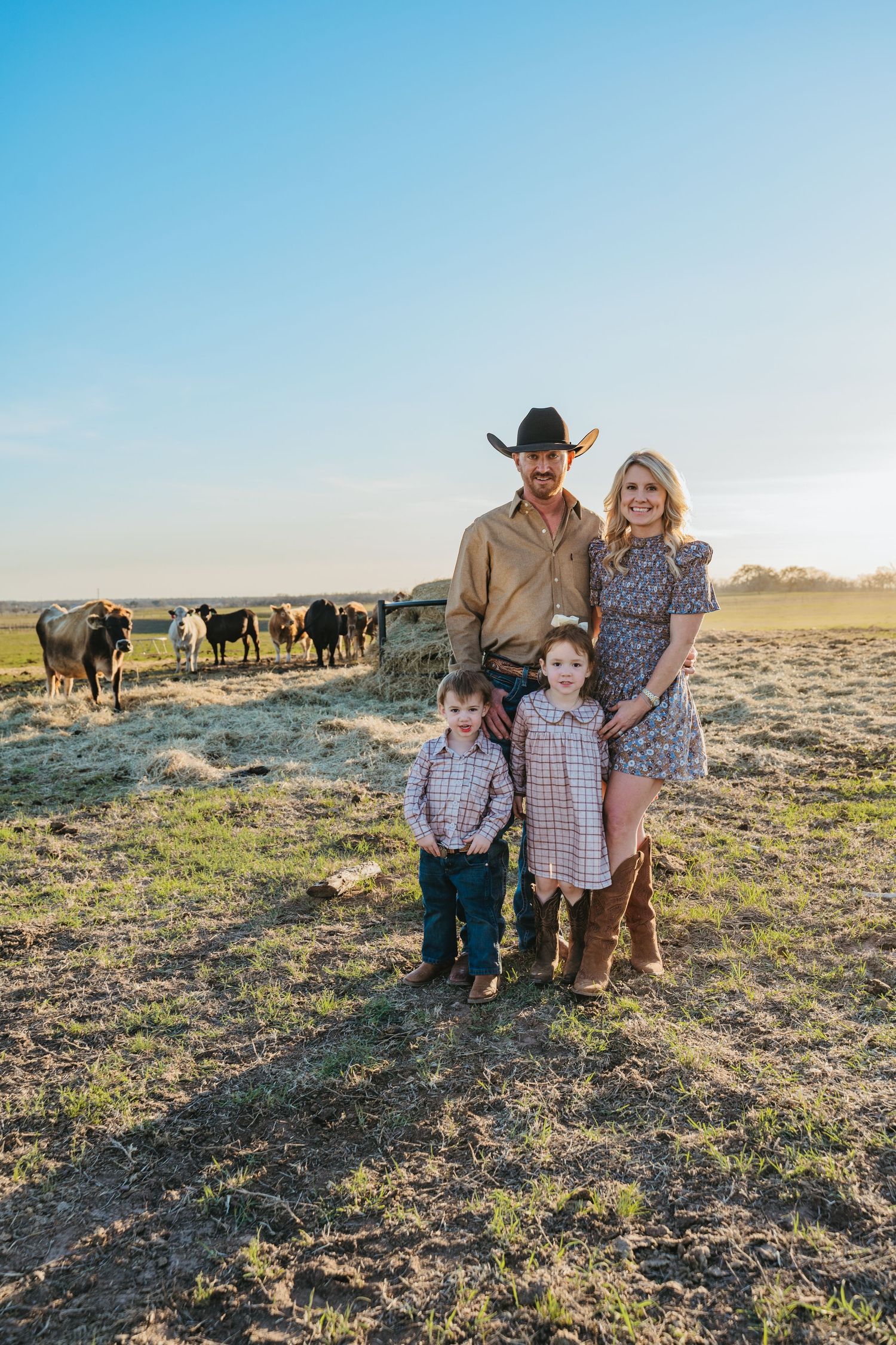 A family of four poses in a sunny pasture with cattle, wearing western attire including cowboy hat and boots.