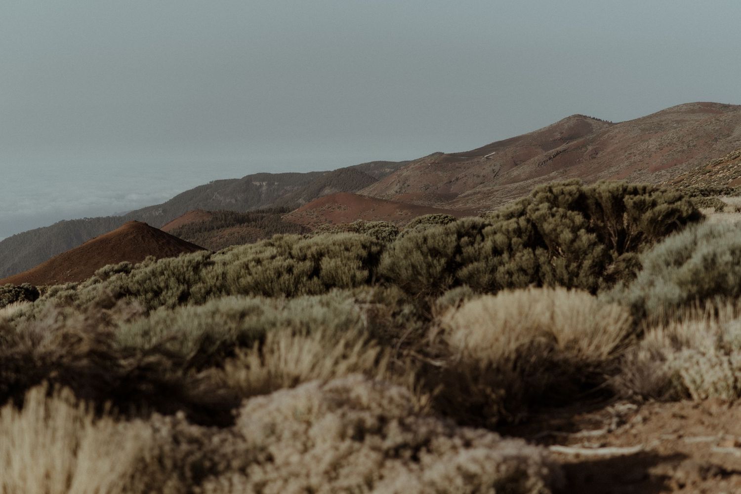 Desert landscape with rolling hills and sage brush under moody skies.