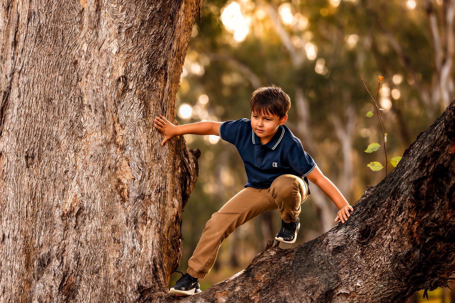 Nikolina Photography, kid's signature photo session in Shepparton.