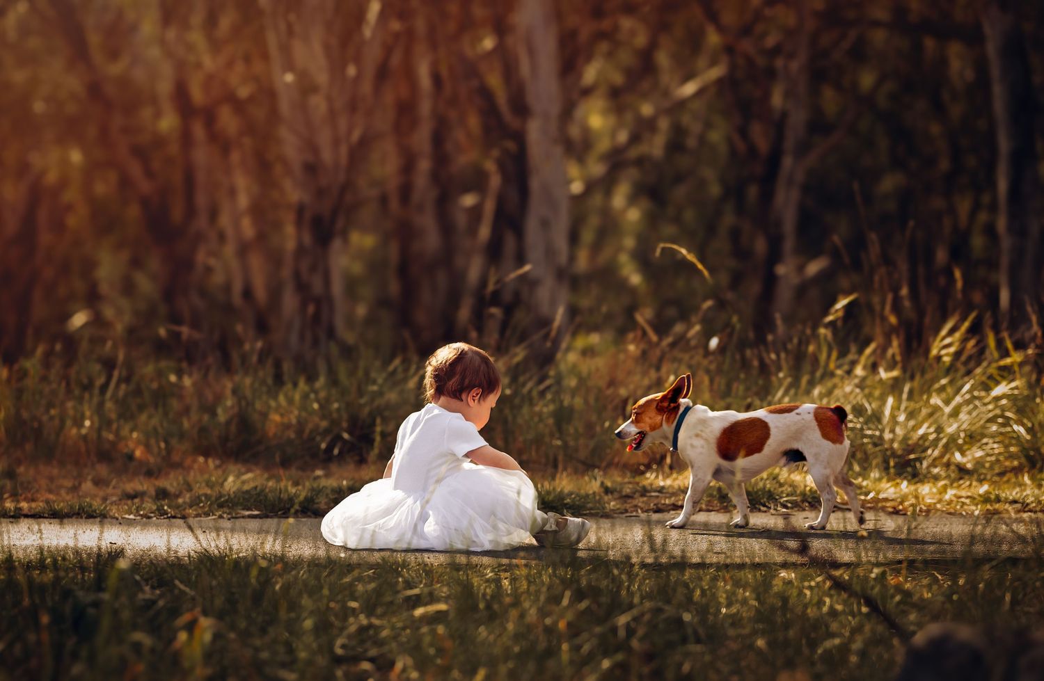 Signature Portrait Photography By Nikolina. Shepparton And Surrounds.