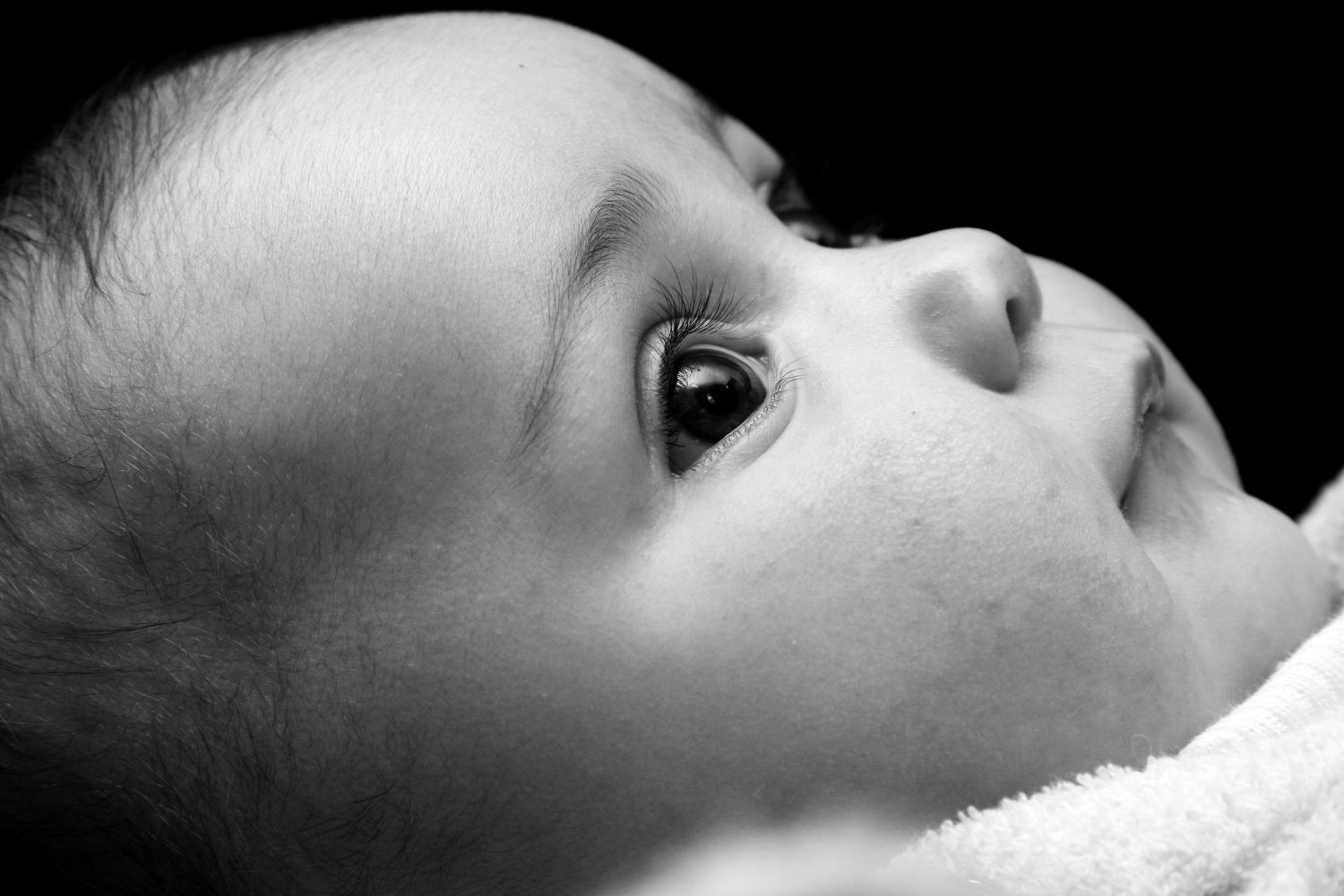 newborn photos by Nikolina Photography.