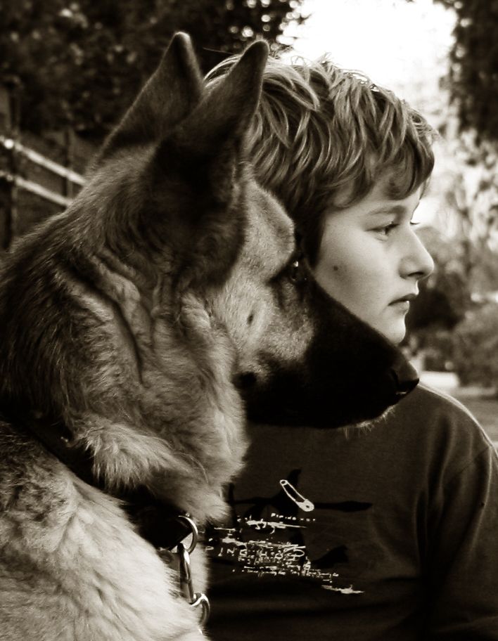 Shepparton Photographer, animal and pet photography.