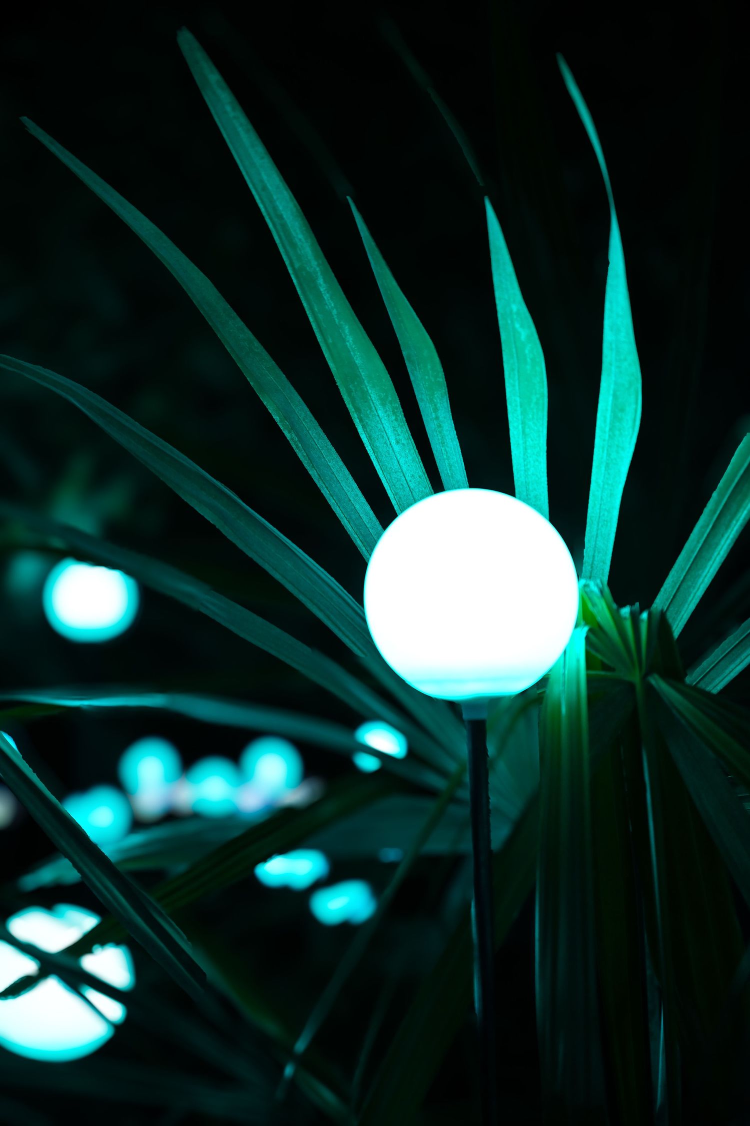 Glowing white orb light against dark emerald palm fronds creates a magical tropical nighttime ambiance.