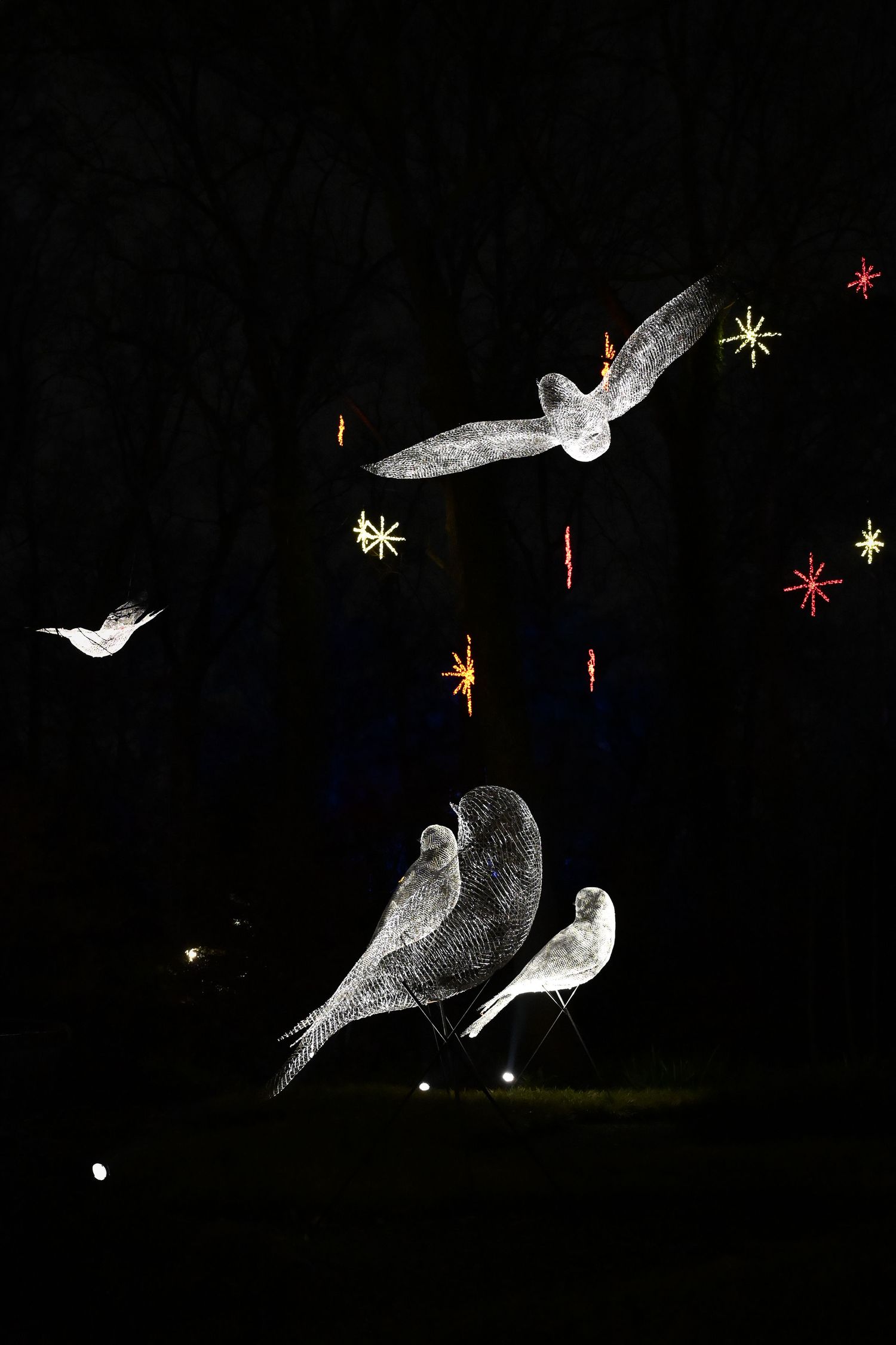 Artistic illustration of white birds against a dark background with colorful stars and sparkles scattered around.