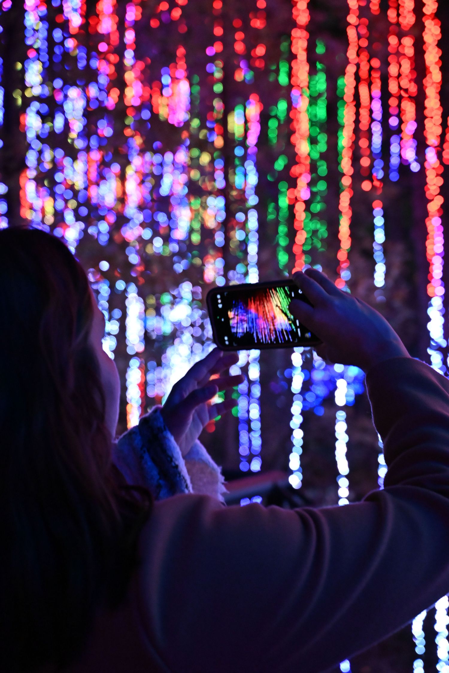 Person photographs colorful hanging string lights display creating vibrant bokeh patterns in purple, red and blue.